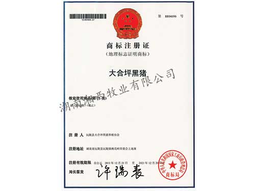 商标注册证
