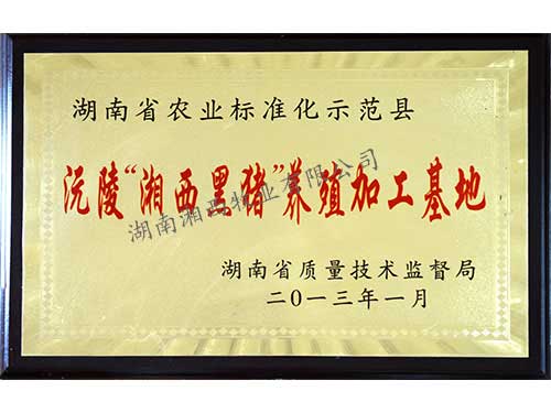 沅陵“湘西黑猪”养殖加工基地