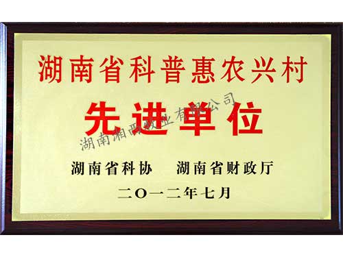 湖南省先进单位
