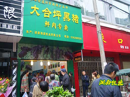 门店展示