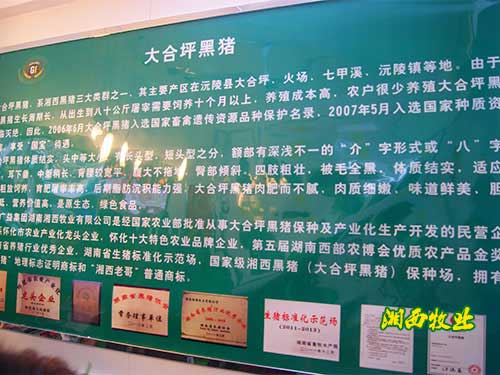 门店展示