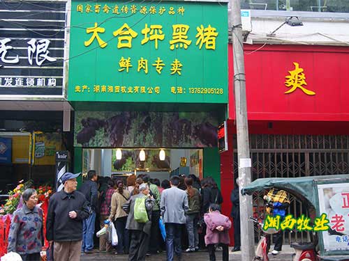 门店展示