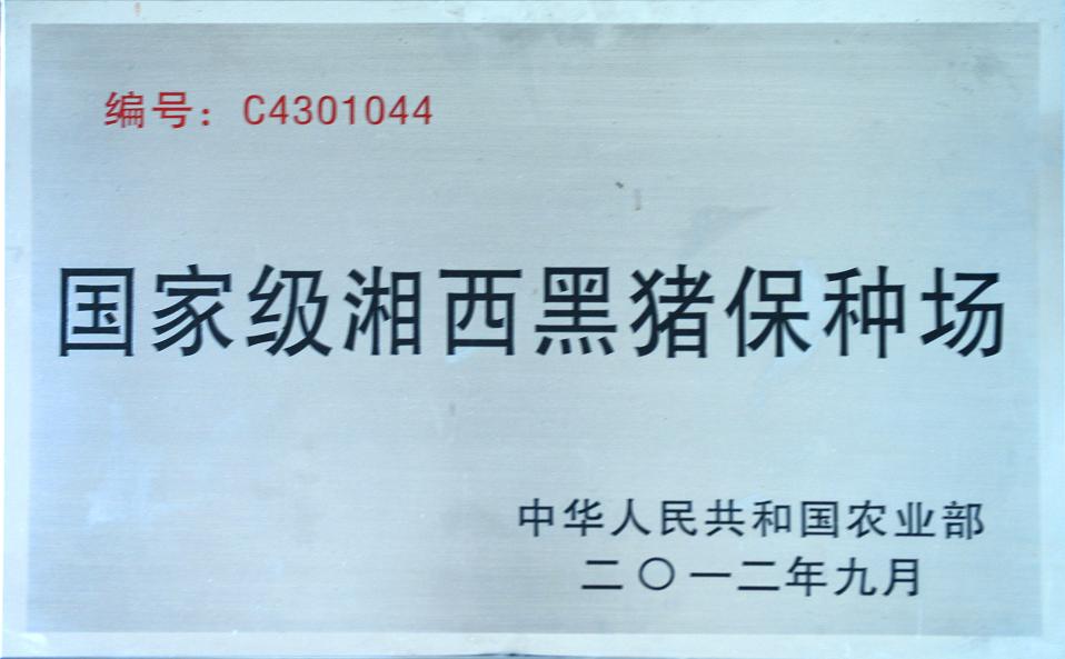 国家级湘西黑猪保种场