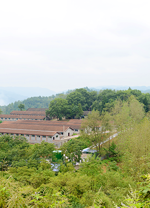 基地展示