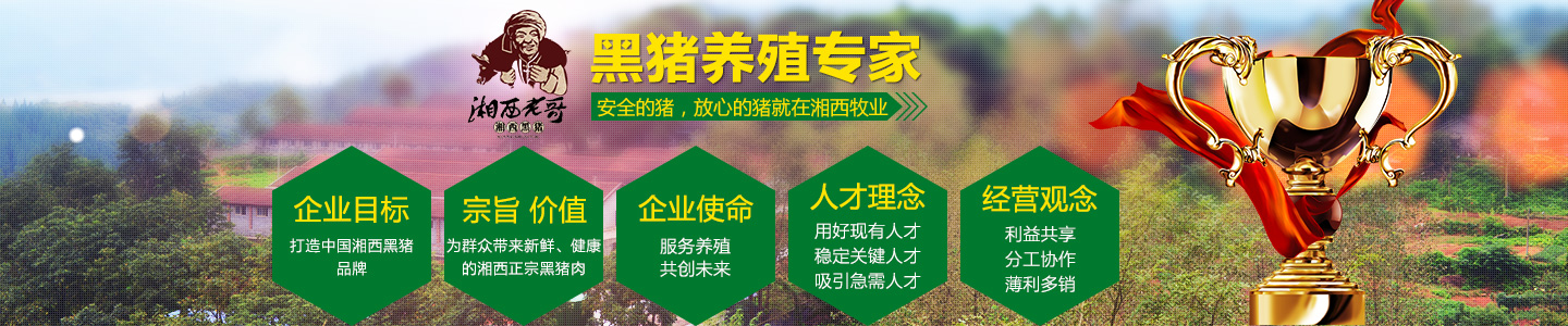 湖南湘西牧业有限公司-湖南省牧业|湖南省湘西黑猪养殖场|湖南黑猪种猪